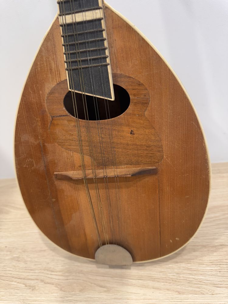 Mandolina mandolina