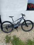 Trek Powerfly 7. 29’ s