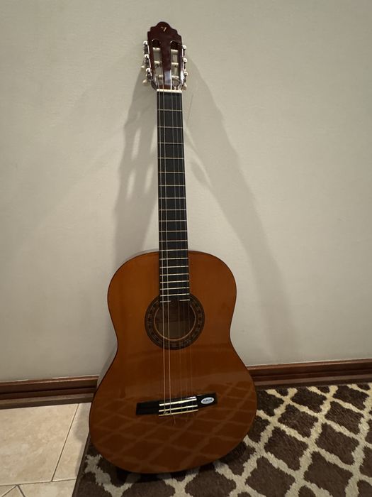 Viola + Capa de transperte