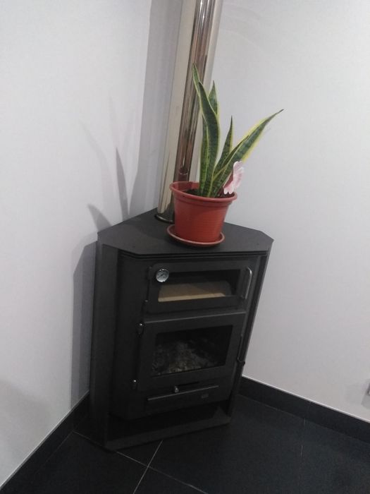 Salamandra em bom estado