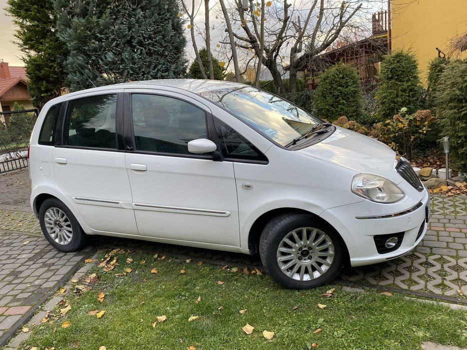 Sprzedam Lancje Musa