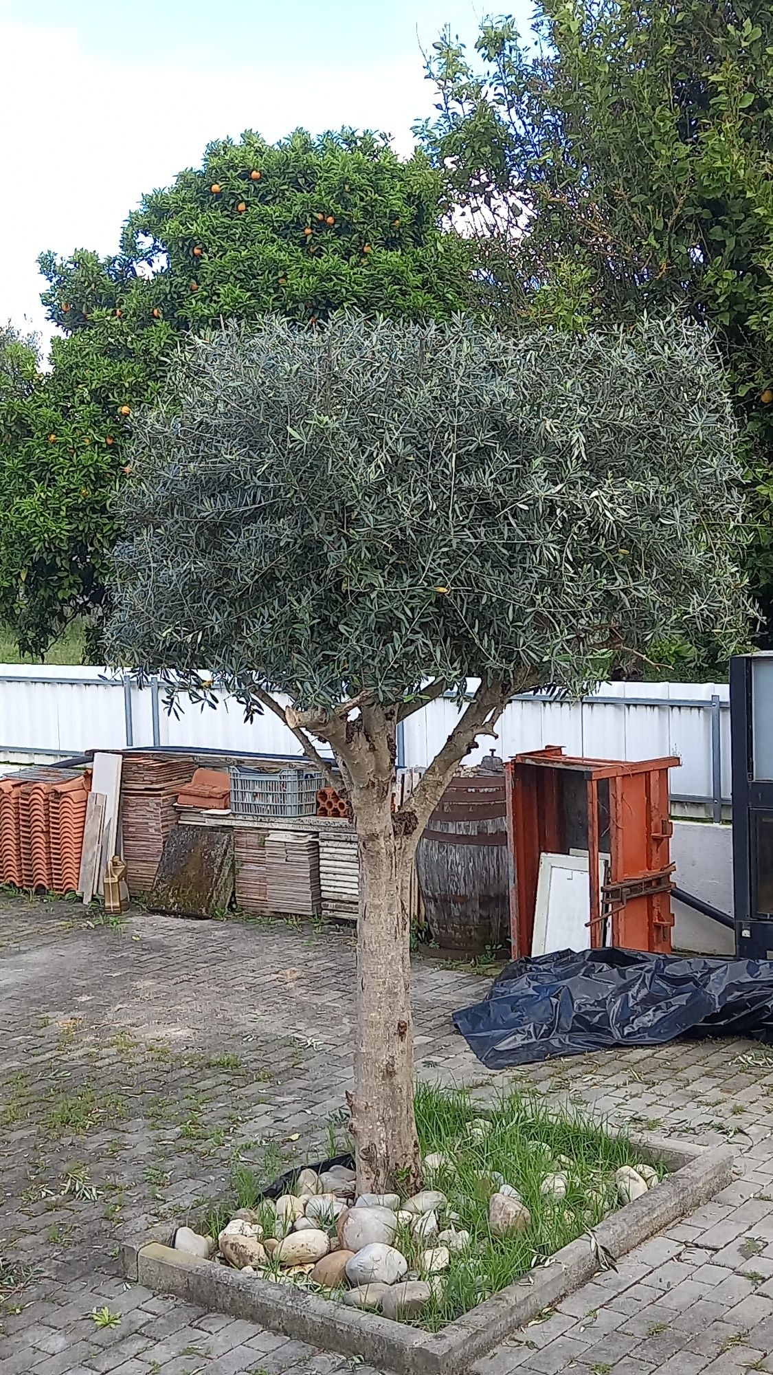 Limpezas e jardinagem