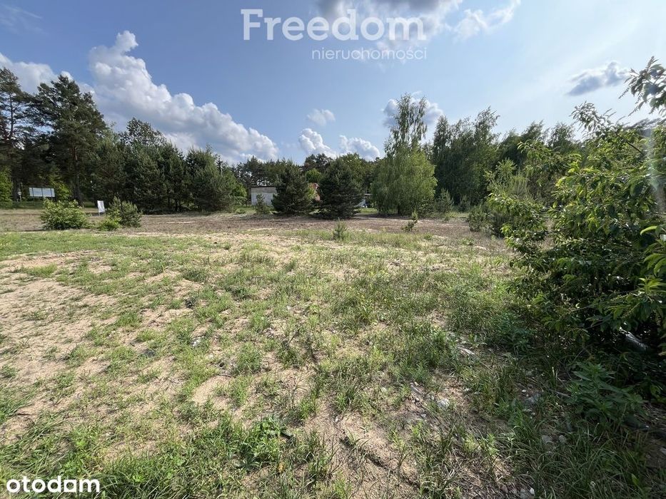 Działka w sąsiedztwie lasu Górsk/Czarne Błoto