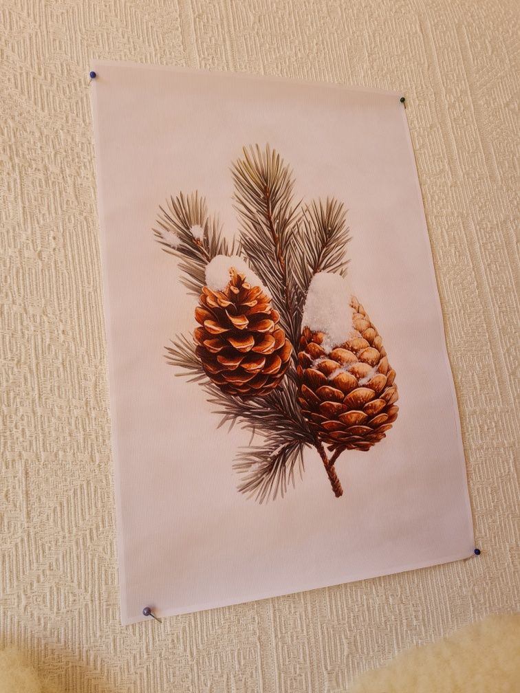 Plakat na płótnie obrazek choinka sosna szyszki święta świąteczny
