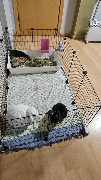 Klatka dla gryzoni królików świnki morskiej psa kota NOWA modułowa