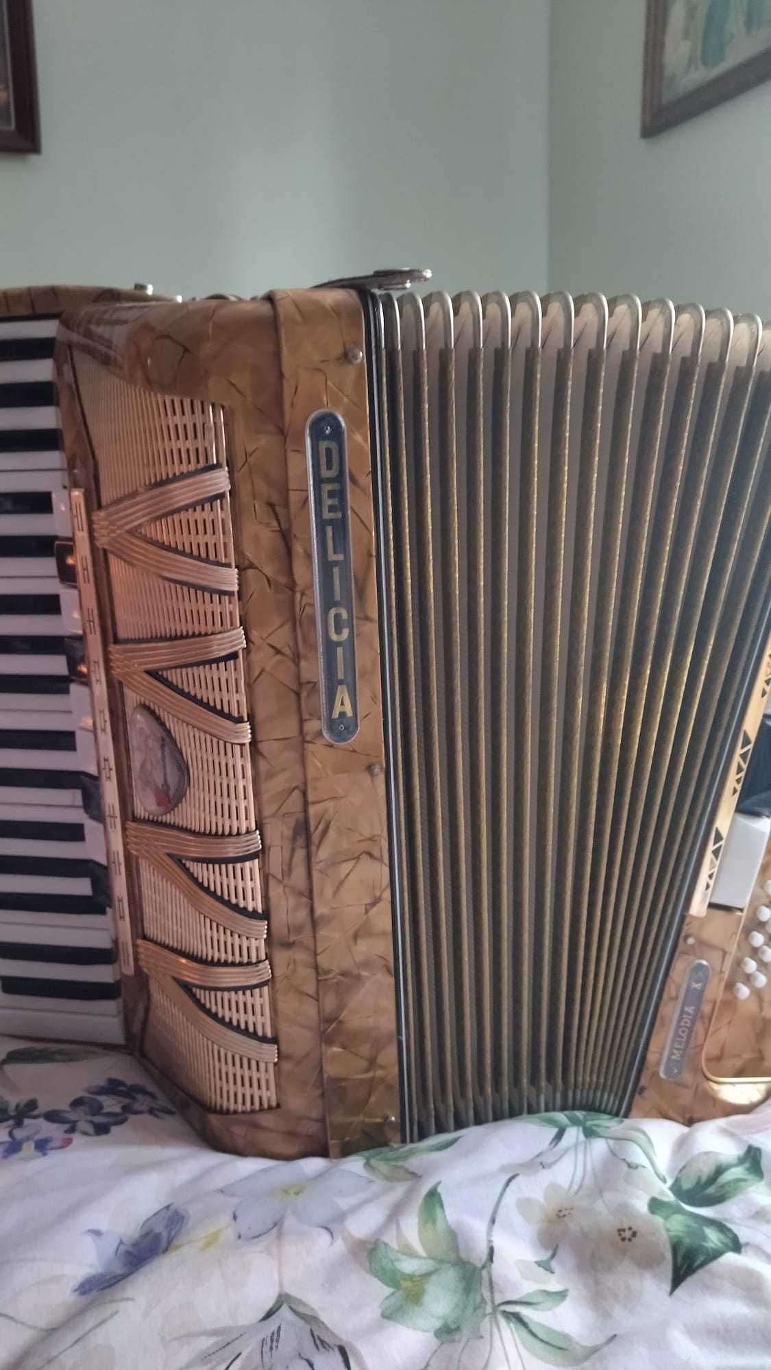 Akordeon Delicia, 4 chóry, 80 basów