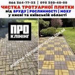 Чистка Бруківки | Миття Тротуарної Плитки - Клінінг Київ прибирання