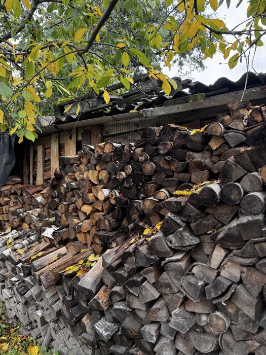Дрова колоті. Самовивіз.Береза ,сосна