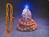 Japamala Rudraksha 108 sementes