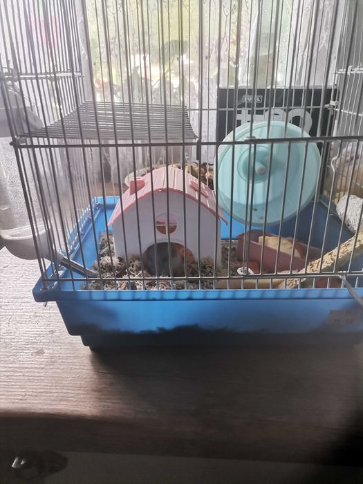 Sprzedam klatka dla z całym wyposażeniem