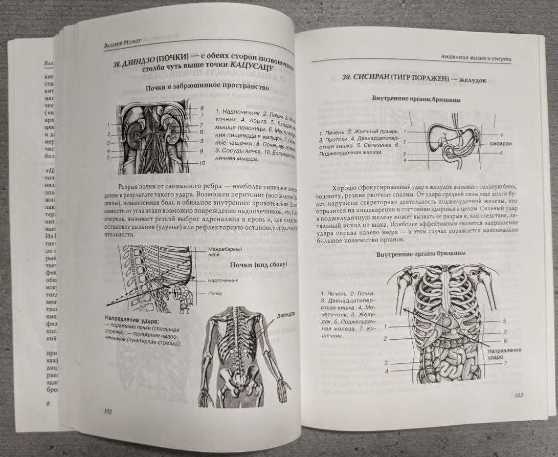 В Момот Анатомия жизни и смерти Жизненно важные точки на теле человека