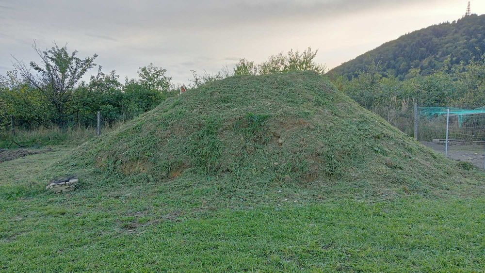 Oddam ziemię za DARMO