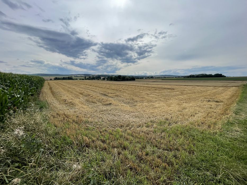 Działka rolna II / IIIa klasa ,pole orne