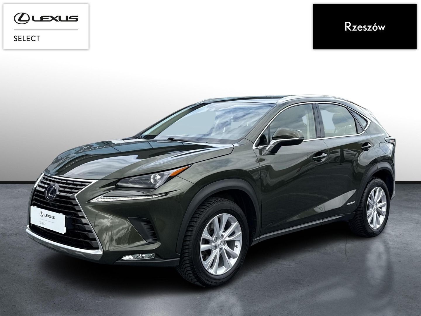 Lexus NX NX300h Business Edition | Piękna zieleń | FVAT 23%
