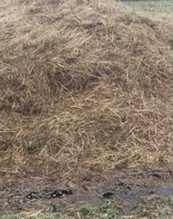 Sprzedam  obornik  Koński cały rok