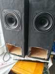 Kolumny monitory