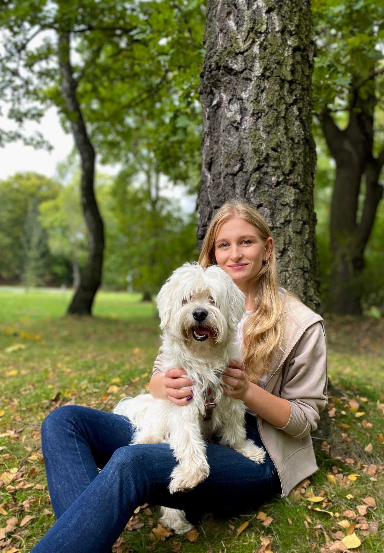 Szkolenie psów / behawiorysta / petsitter / Trener psów / Śląsk