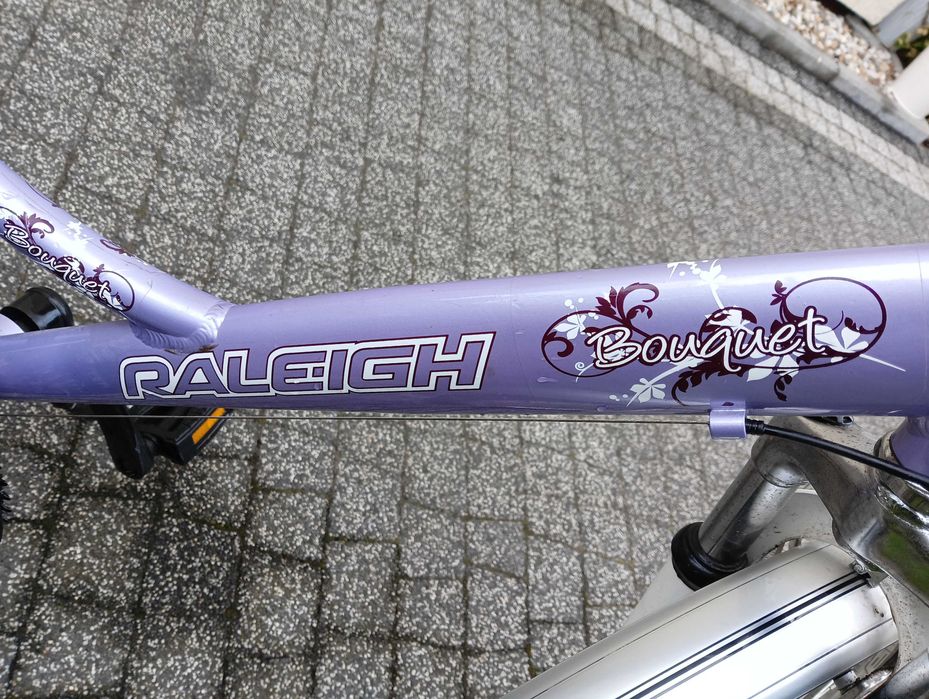 Rower młodzieżowy Raleigh