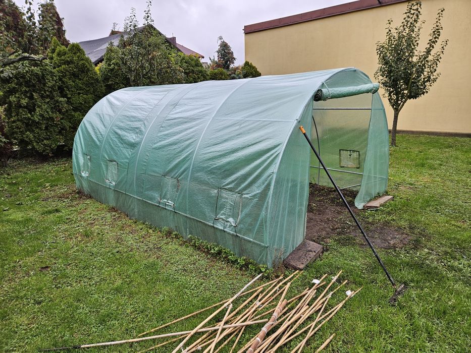 Tunel warzywny,pomidory .