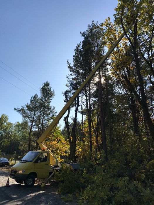 Wycinka drzew Jachranka i okolice, rębak do gałęzi, podnośnik, mulczer