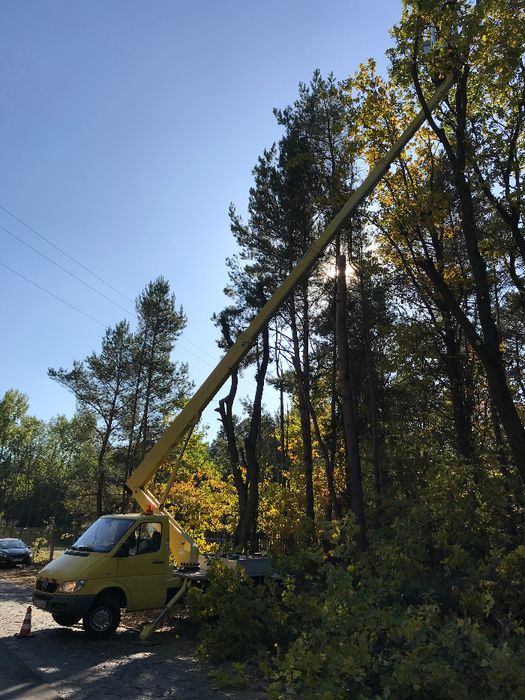 Wycinka drzew Jachranka i okolice, rębak do gałęzi, podnośnik