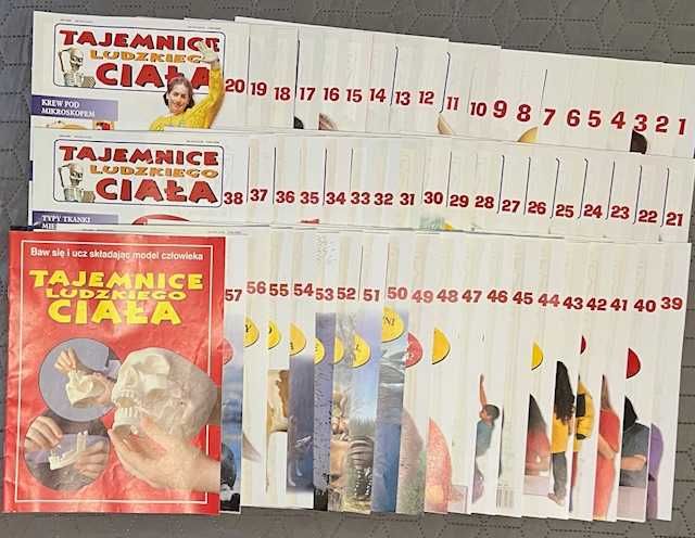 Tajemnice ludzkiego ciała , szkielet , model człowieka DeAgostini