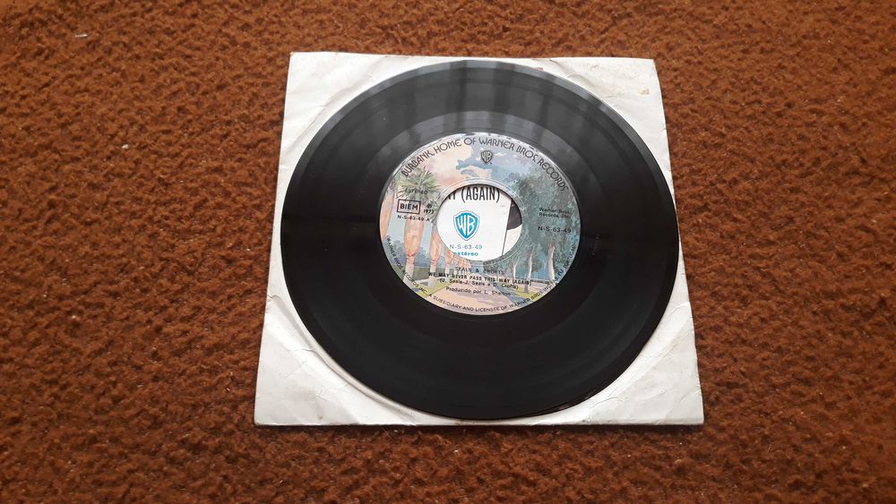 Seals & Crofts - We may never pass this way ( again ) - single vinil