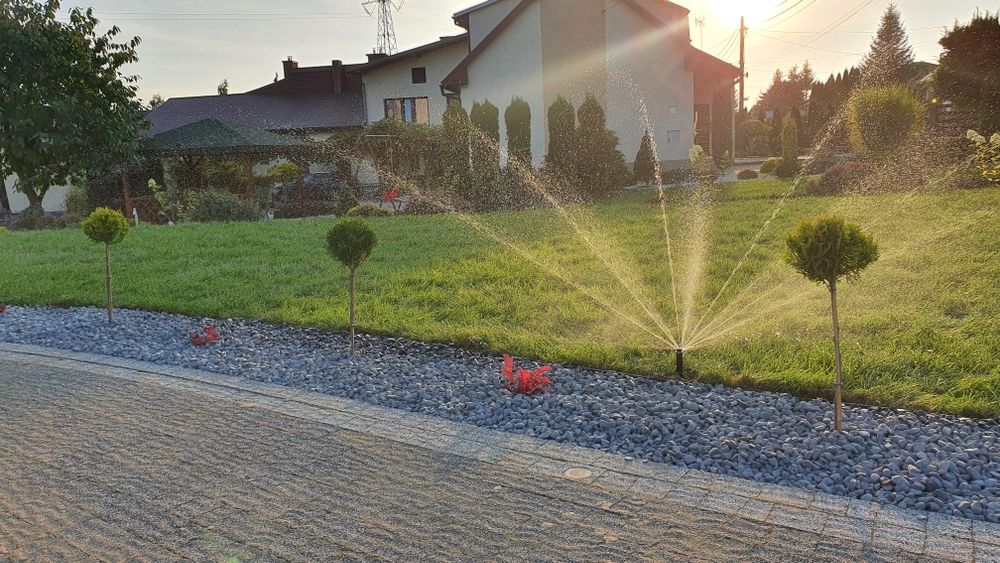 Zakładanie ogrodów /wycinka drzew /sprzątanie posesji /pielęgnacja