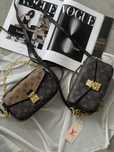 Жіноча сумочка Louis Vuitton