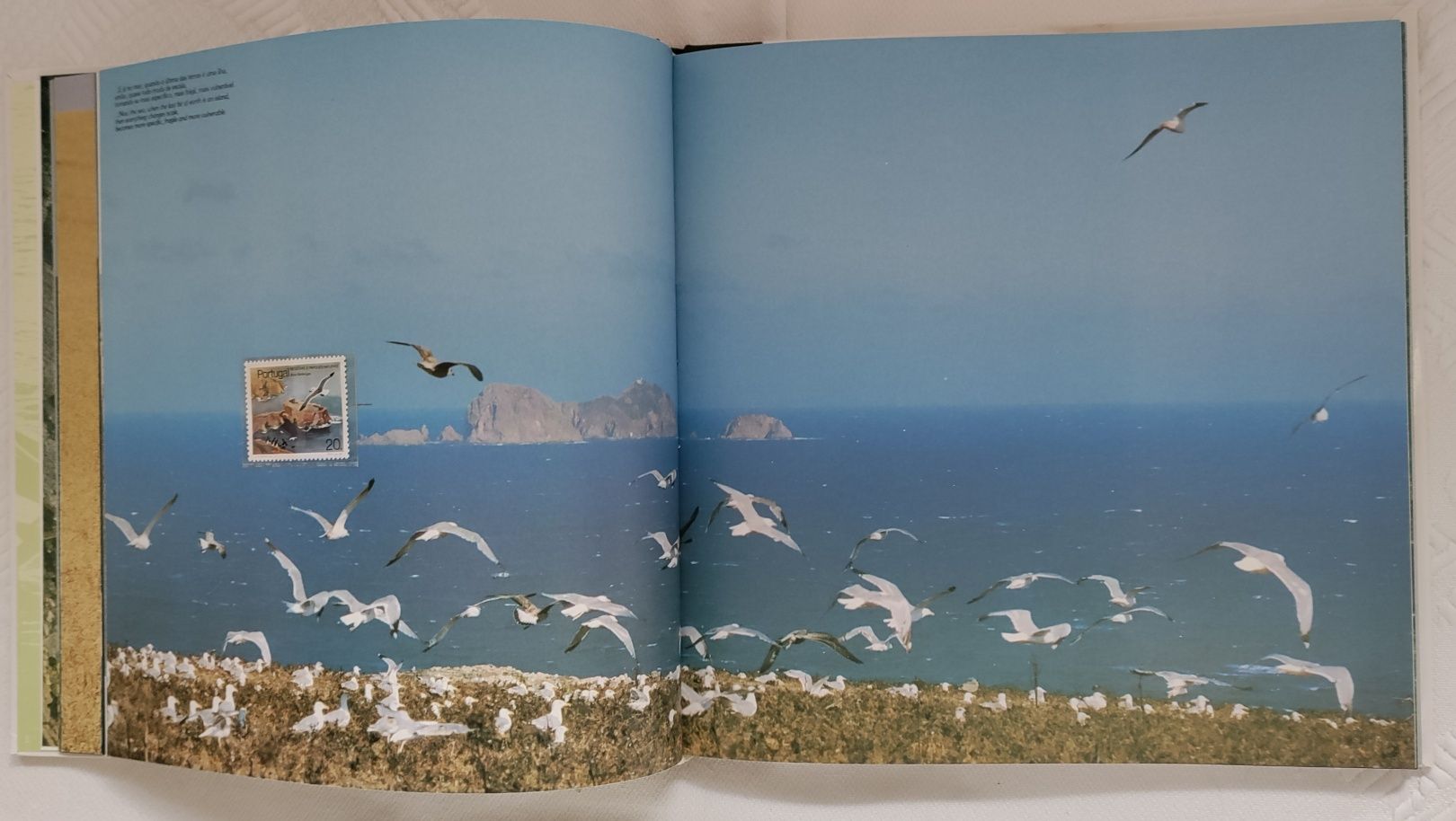 Livro CTT - Olhar o Ambiente.