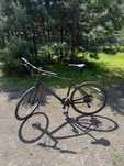 Rower Specialized Sirrus X