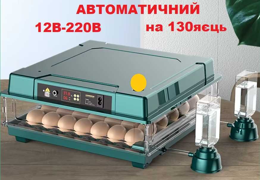 Автоматический инкубатор 220/12В Птаха на 130 яиц Інкубатор для дому