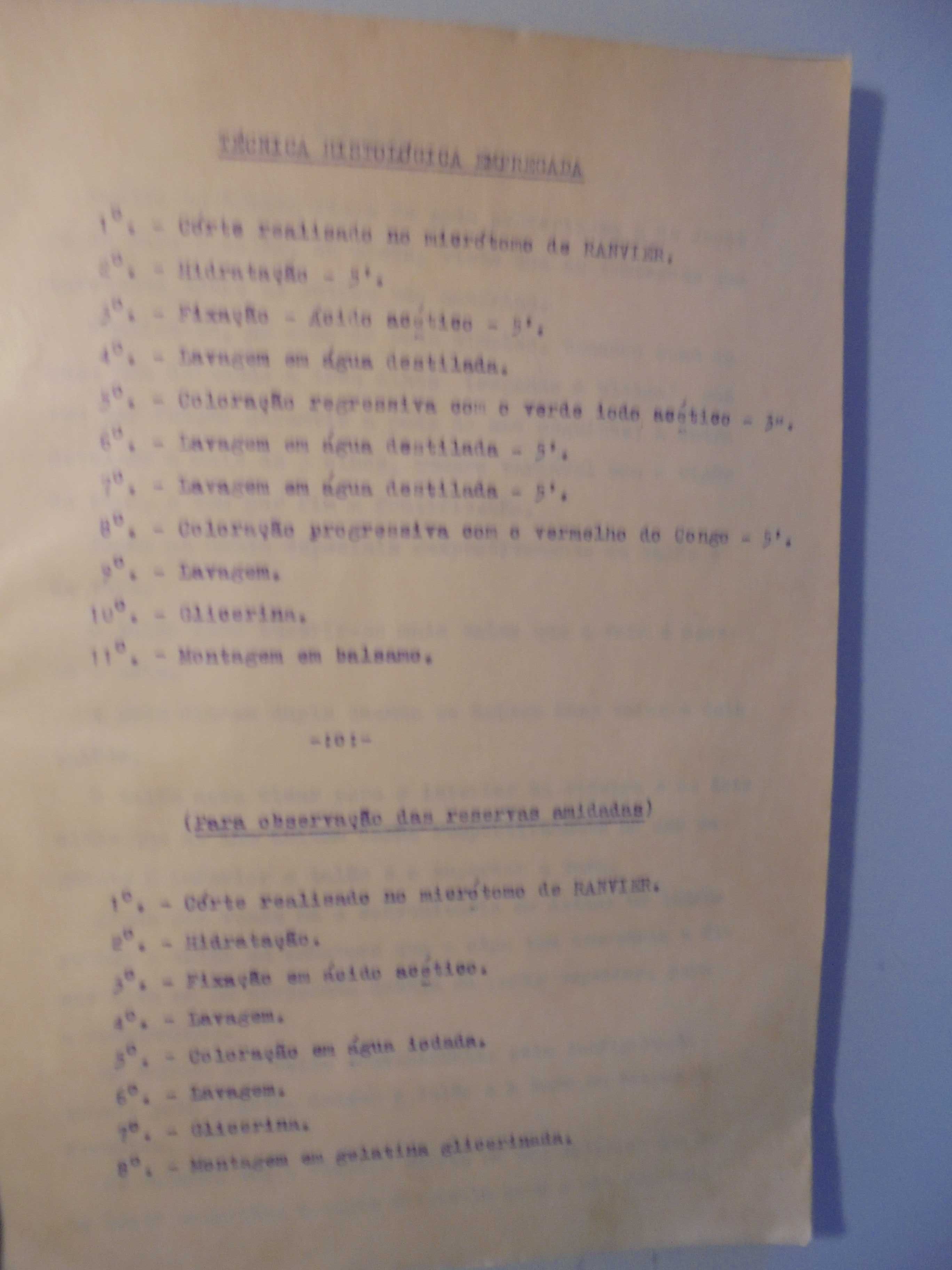 Viticultura-Caderno,instituto Superior de Agronomia,1932/1933