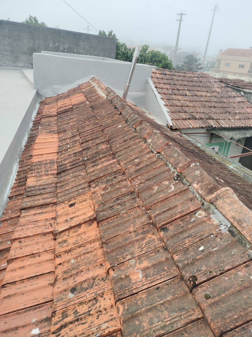 Pintor construção civil