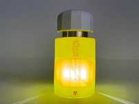 Ramon Monegal Ibiza Flower Power 50/100ml