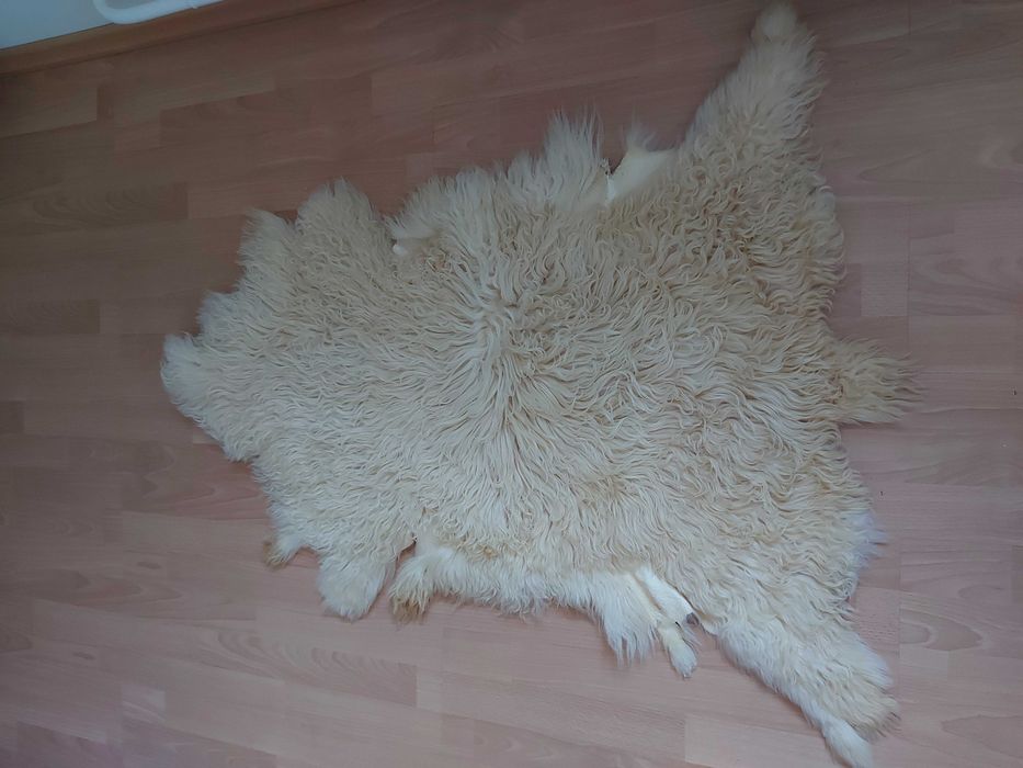Skóra owcza biała