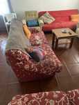 Vendo sofas, maquina de lavar a loiça e cama