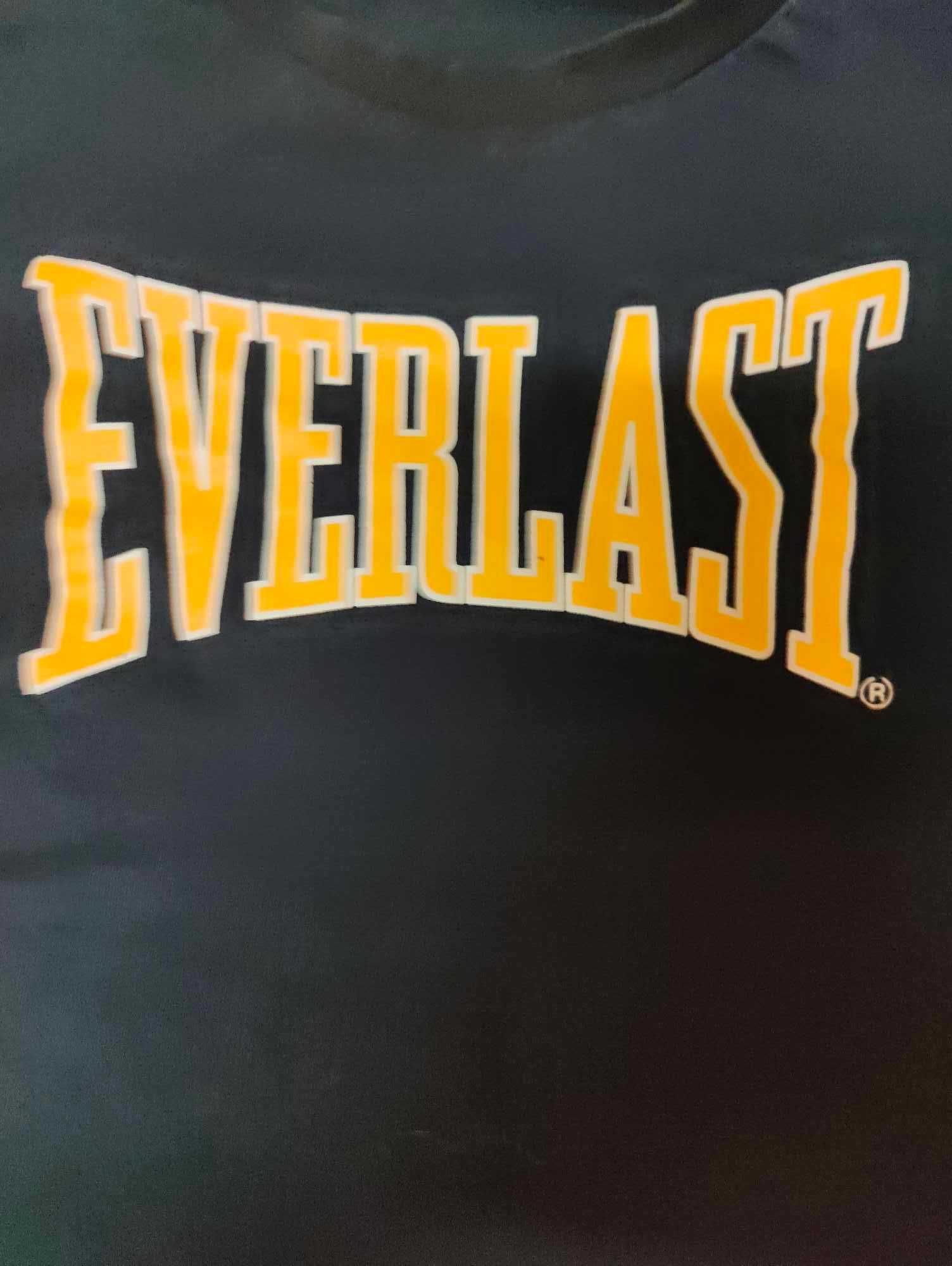 T-shirt Everlast preta tam. L  em bom estado.