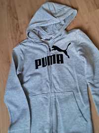 Bluza puma szara