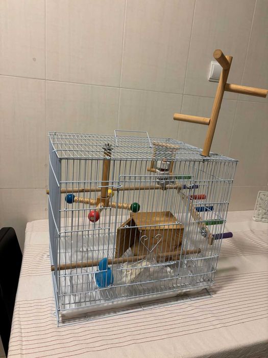 Gaiola para pássaros em ótimo estado