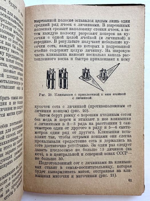 1942 г. «Пчеловодство. Работа на колхозной пасеке. С.И. Моксин»