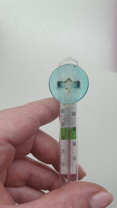 Аквариумный термометр