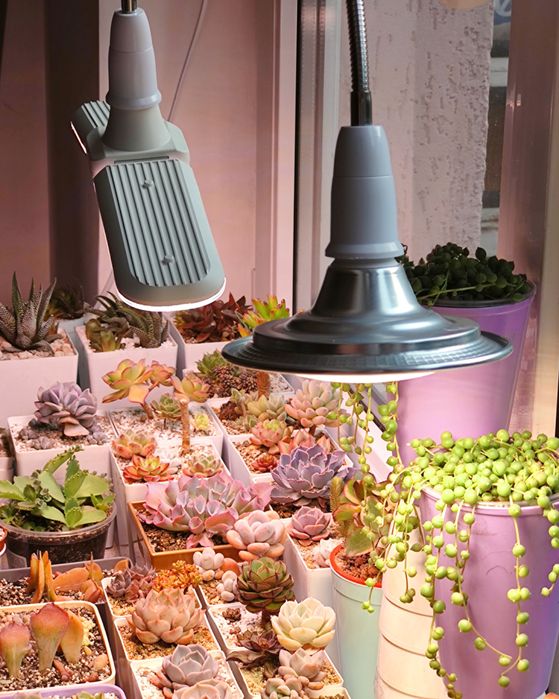 Фітолампа світильник для рослин повного спектру біле світло