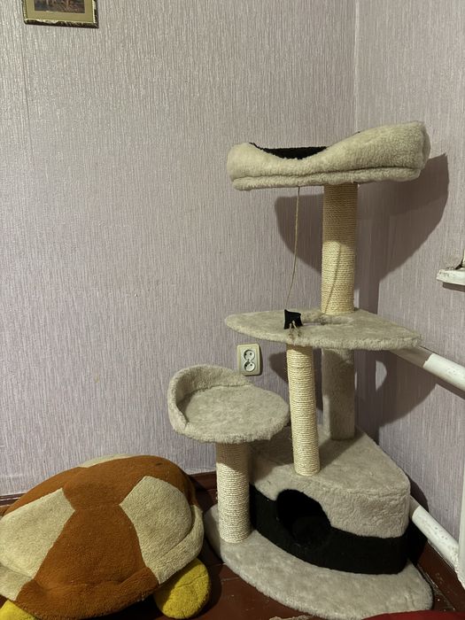 Кутова кігтеточка