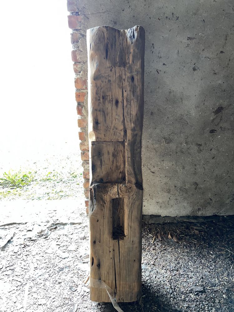 Belka bela bal, stare i ciężkie drewno
