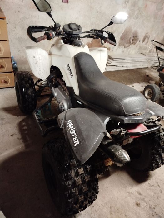 Quad Dinli Masai 300