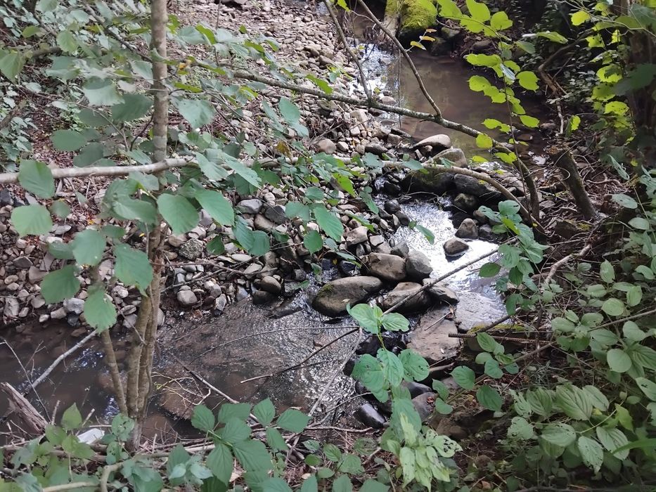 Продаю земельну ділянку Свалява Закарпатської