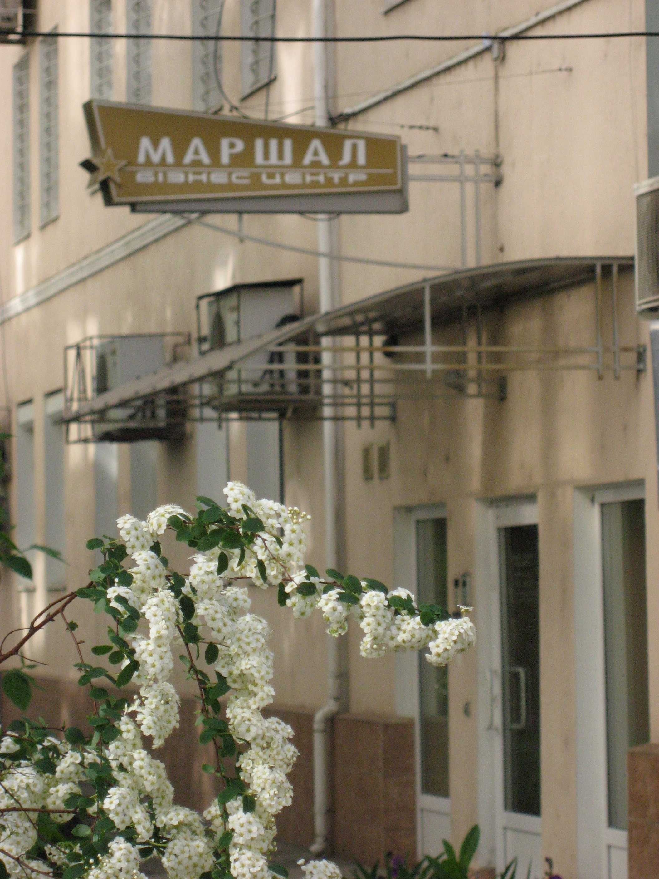 Свой офис 22 м в БЦ на Говорова (все включено)