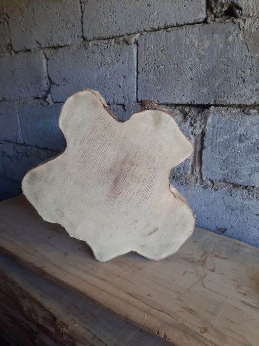 Plastry dębu,podstawki brzozowe i akacjowe