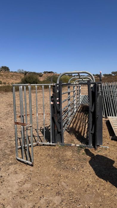 sistema de captura de vaca com espaço para condução